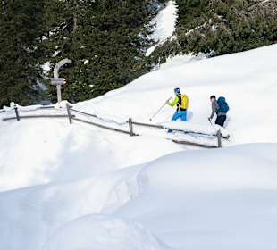 Wandern Nova Ponente / Deutschnofen