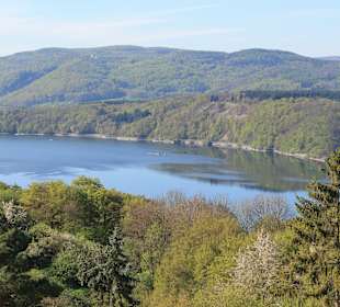 Ausblick