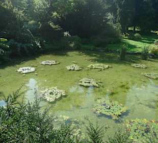 Прудик на территории замка