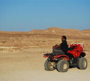 Alex Quad Safari von Elgouna