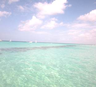 Ausflug Insel Saona