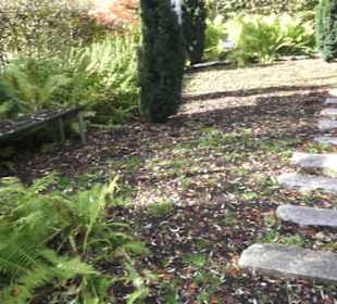 Kneipp`scher Sinnesgarten