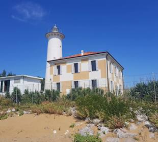 Gute Bepflanzung am Leuchtturm
