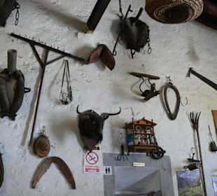 Im Lokal "Es Verger"