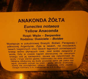 Zwierzęta w ZOO