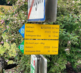 Weg zum Schlögener Blick