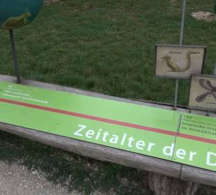 Dinosaurier Museum Altmühltal