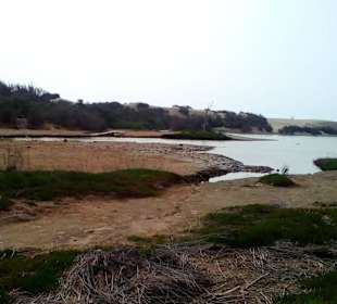 Naturschutzgebiet La Charca in Maspalomas