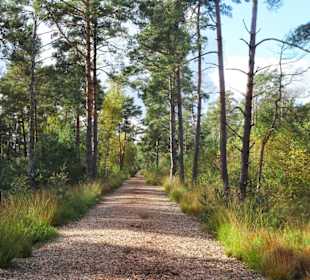 Eindrücke aus dem Großen und Weißen Moor