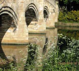 Abbey Park (Park (rezerwat, zoo, safari, itd.))