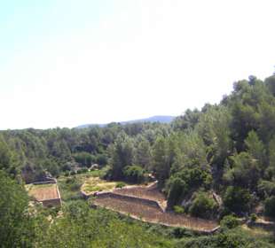 Natur pur