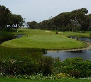 Clovelly Golf Club