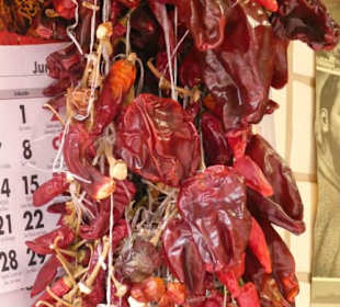 Bunter Markt in Santa Cruz