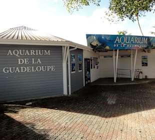 Eingangsbereich des Aquariums
