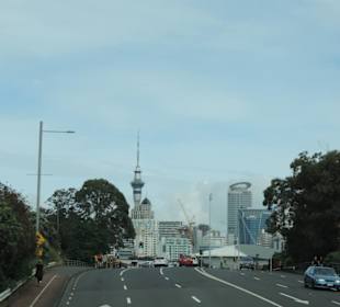 Mit dem Hop on Hop off Bus in Auckland unterwegs