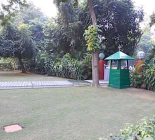 Verglaster Gartenweg