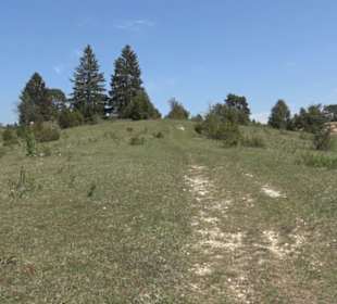 Premiumwanderweg Hochgehschätzt