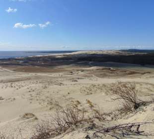 Dünenlandschaft auf der Kurischen Nehrung b. Nida