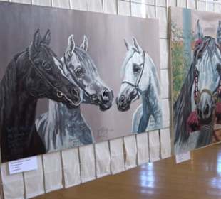 Gestütshof Offenhausen