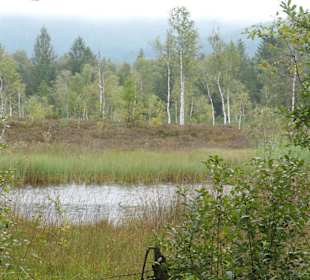 Unterwegs auf dem Moor-Erlebnis-Pfad von Inzell 