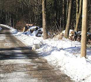 Moritzberg im Winter