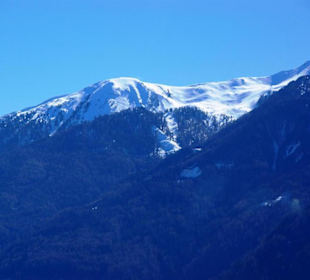 Brenner vom Bus aus Eindrücke-Impressionen