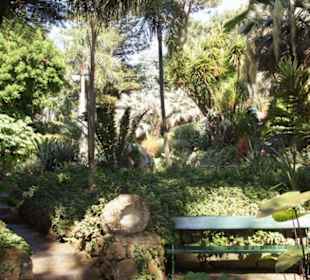 Blick in den Park 