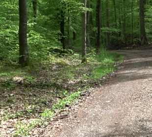 Wandertour Feuchtgebiet Schönbuch