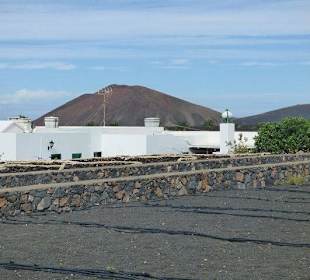 Yaiza