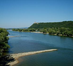 Die Donau bei Bogen
