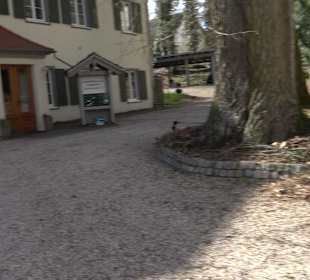 Kloster Inzigkofen