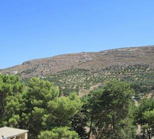 Виды из кносского дворца