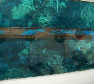 Super Riff auch zum Schnorcheln