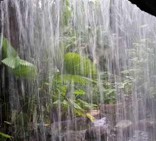 Unter dem Wasserfall