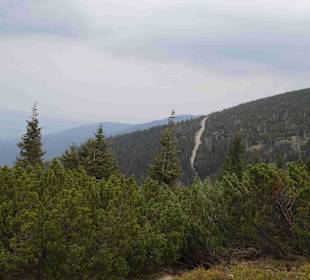 Berg Schneekoppe/Śnieżka