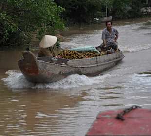 Das Leben im Mekong