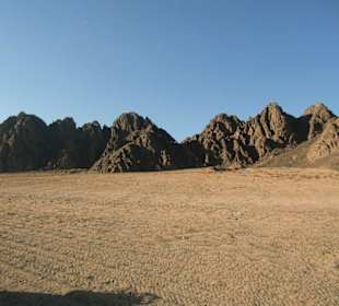 Quadtour durch Wüste