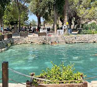 Kalksinterterrassen von Pamukkale