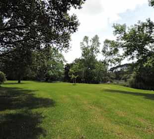 Im Western Springs Park