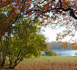 Осенью в парке...
