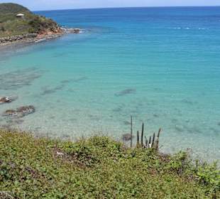 Dark Wood Beach