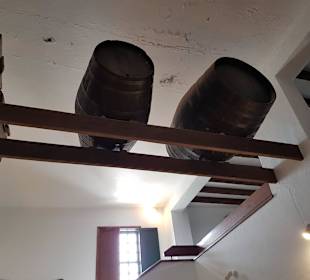 Weinmuseum und Kakteen-Ausstellung El Grifo