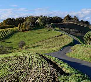 Wandern Feldbach