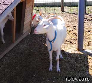 Discovery Park Manavgat