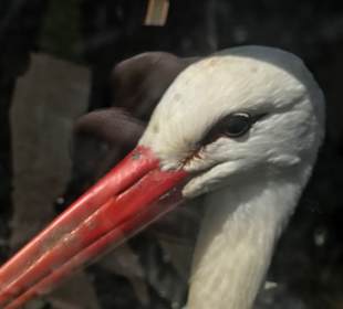 Zoo Grömitz 