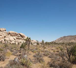 Interessante Wüstenlandschaft