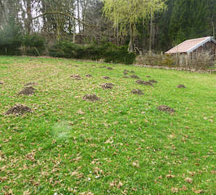 Naturschutzgebiet Kupferbachtal