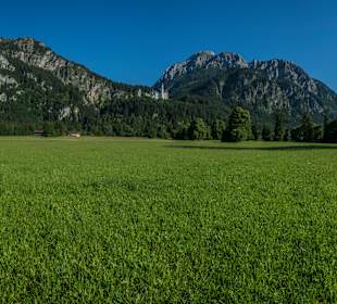Wandern Murnau am Staffelsee