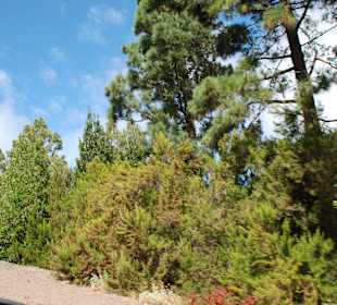 Auf dem Weg zum Gipfel