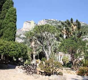 Jardin dÉxotique - Monaco